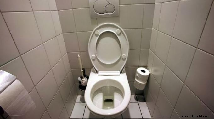 2 Proven, Natural Ways to Deodorize Your Toilet on a Budget