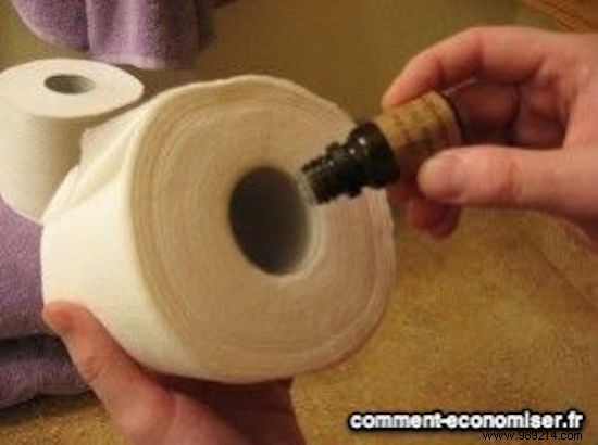 2 Proven, Natural Ways to Deodorize Your Toilet on a Budget