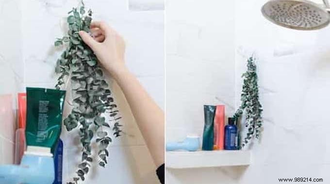 14 Proven Natural Tips to Eliminate Odors and Keep Your Home Smelling Fresh