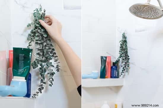 14 Proven Natural Tips to Eliminate Odors and Keep Your Home Smelling Fresh