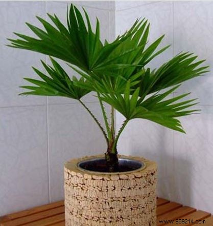 28 Everyday Household Items That Double as Effective Cleaning Powerhouses