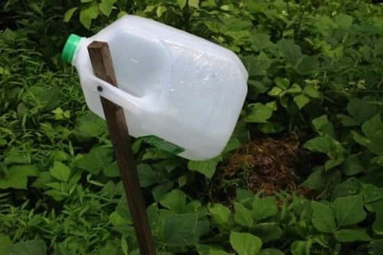 15 Budget-Friendly Garden Ideas to Transform Your Outdoor Space