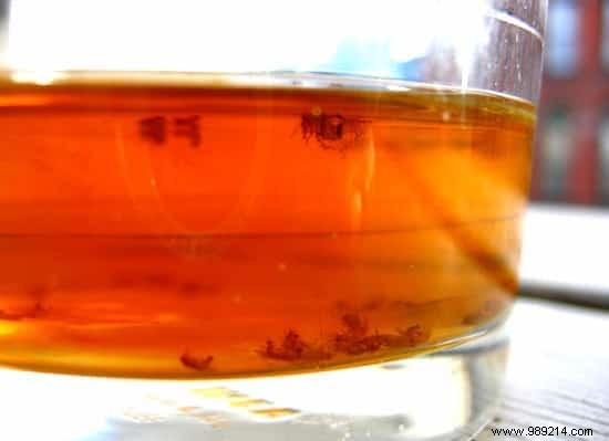 31 Genius Dish Soap Hacks for Cleaning, Gardening, and Home Maintenance