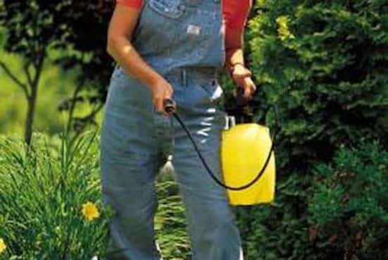 31 Genius Dish Soap Hacks for Cleaning, Gardening, and Home Maintenance