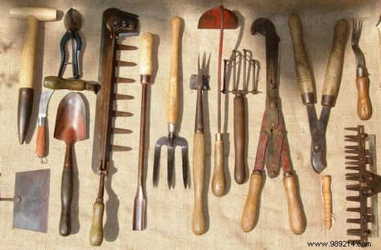 31 Genius Dish Soap Hacks for Cleaning, Gardening, and Home Maintenance