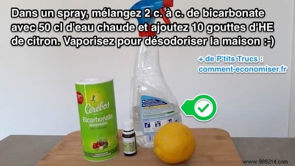 3 Proven Natural Methods to Eliminate Household Odors Effortlessly