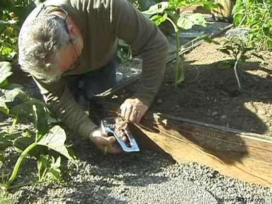13 Proven Natural Slug Control Methods That Actually Work