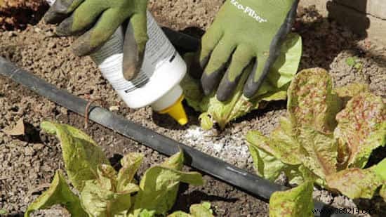 13 Proven Natural Slug Control Methods That Actually Work