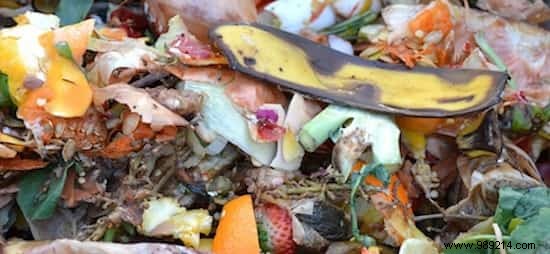 23 Proven Ways to Repurpose Banana Peels for Cleaning, Health, and Gardening