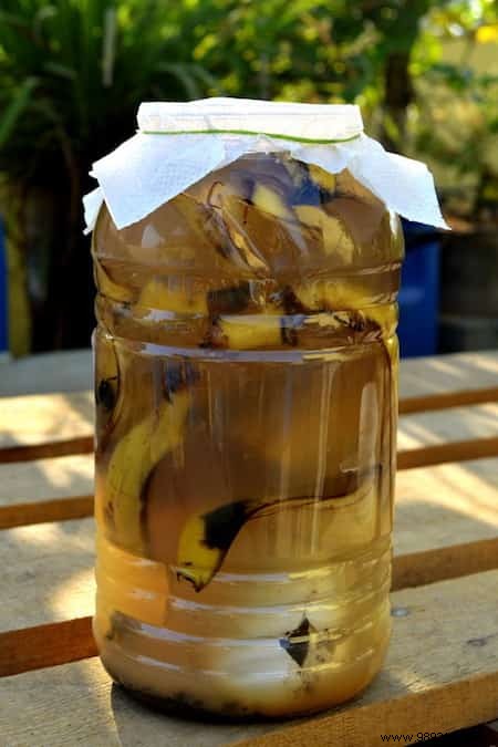 23 Proven Ways to Repurpose Banana Peels for Cleaning, Health, and Gardening