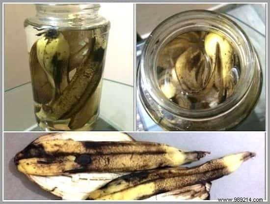 23 Proven Ways to Repurpose Banana Peels for Cleaning, Health, and Gardening