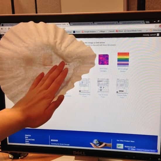 16 Genius Ways to Repurpose Coffee Filters Around Your Home