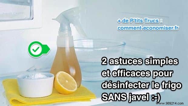 2 Proven Natural Ways to Disinfect Your Fridge Without Bleach