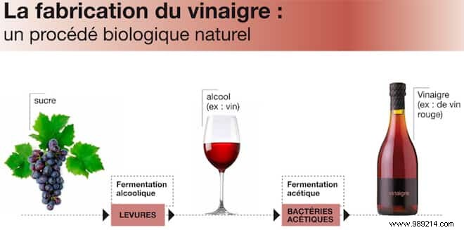 The Ancient Origins of Vinegar: A Historical Journey from Babylon to Modern Kitchens