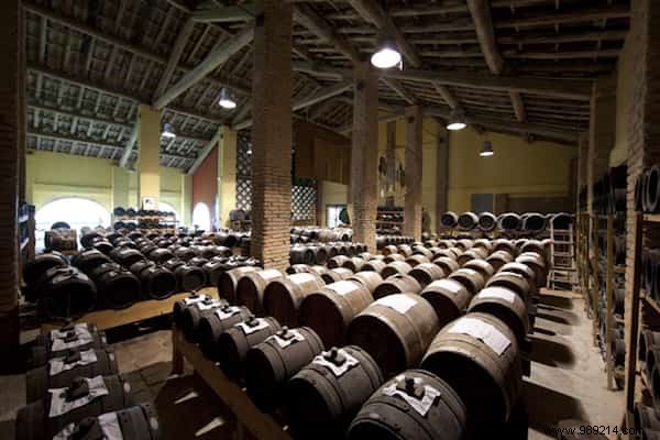 The Ancient Origins of Vinegar: A Historical Journey from Babylon to Modern Kitchens