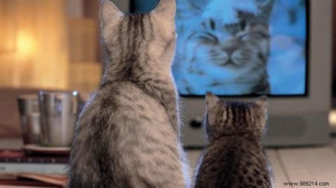 7 Must-Watch Videos with Genius Life Hacks for Everyday Wins