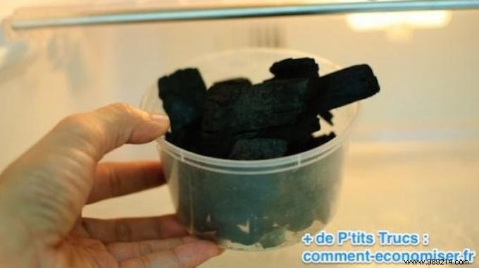 Grandma s Proven Trick: Banish Stubborn Fridge Odors with Activated Charcoal