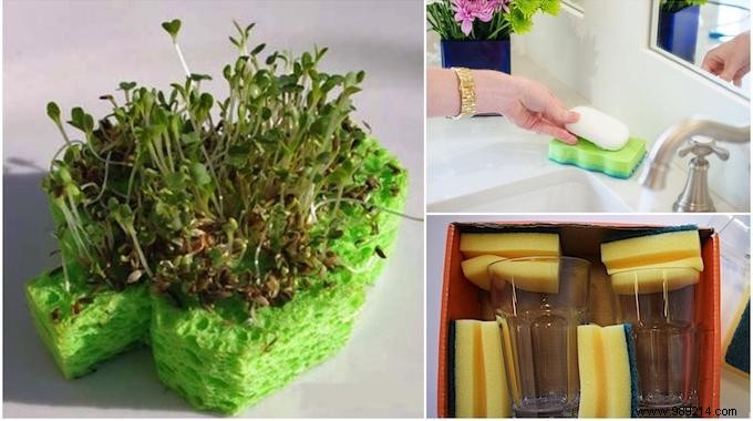 10 Ingenious Ways to Use Sponges Around the Home