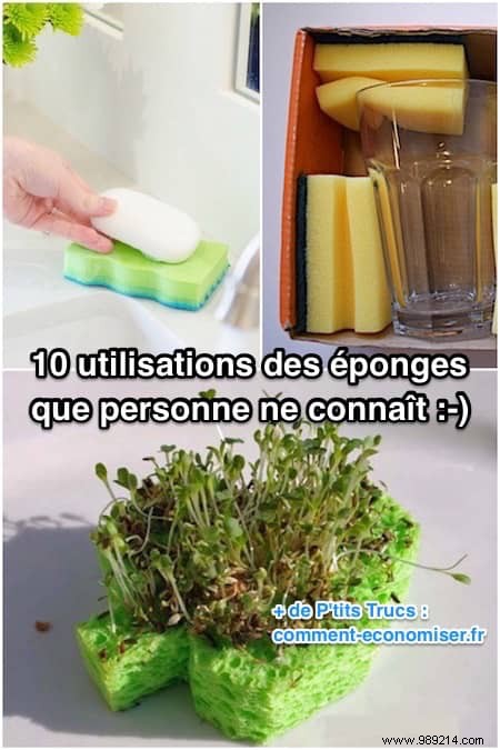 10 Ingenious Ways to Use Sponges Around the Home