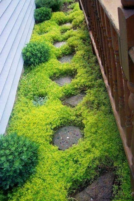 25 Easy, Budget-Friendly Garden Ideas to Transform Your Backyard