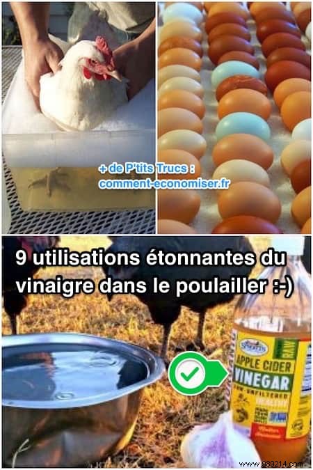 9 Proven Ways to Use Vinegar in Your Chicken Coop for Healthier Hens and Cleaner Spaces