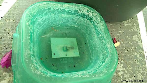 9 Proven Ways to Use Vinegar in Your Chicken Coop for Healthier Hens and Cleaner Spaces