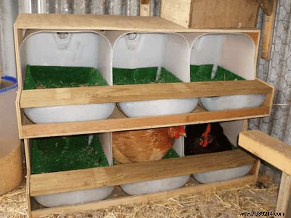 9 Proven Ways to Use Vinegar in Your Chicken Coop for Healthier Hens and Cleaner Spaces