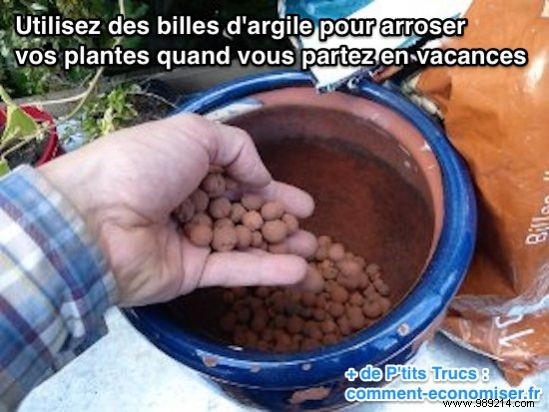 Keep Plants Thriving on Vacation: Simple Self-Watering Hack with Clay Pebbles