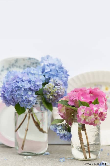 43 Ingenious Ways to Repurpose Old Glass Jars: Expert DIY Ideas for Home and Garden