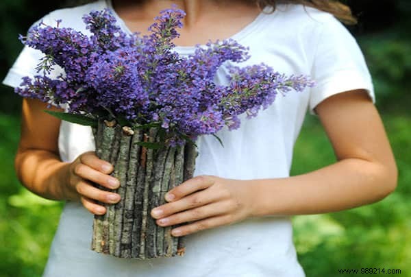 43 Ingenious Ways to Repurpose Old Glass Jars: Expert DIY Ideas for Home and Garden