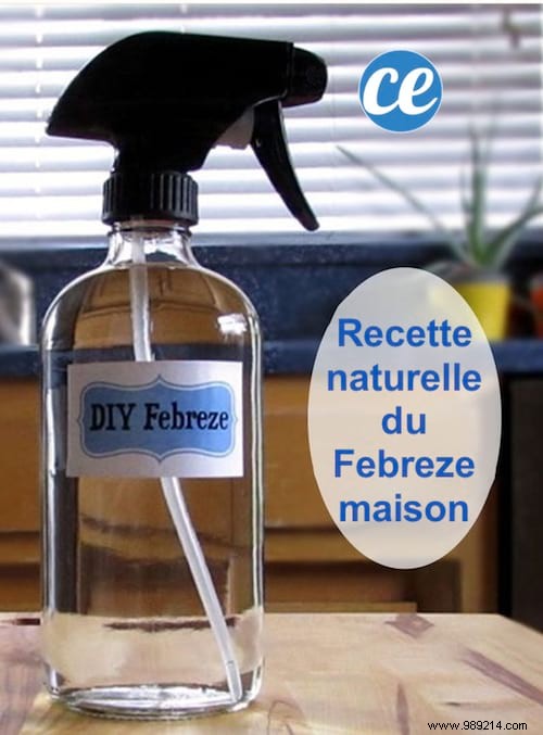 DIY 100% Natural Febreze: Simple, Affordable Homemade Air Freshener Recipe