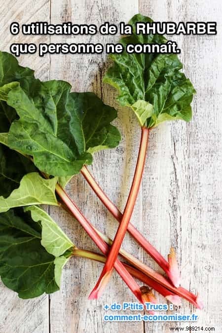 Beyond Pies: 6 Surprising Rhubarb Uses for Home, Garden, and Beauty