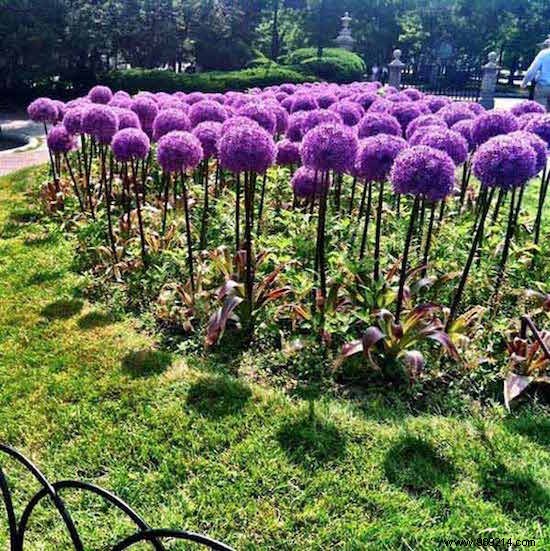 28 Expert DIY Ideas to Transform and Beautify Your Patio