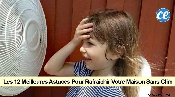 12 Proven Tips to Cool Your Home Without Air Conditioning