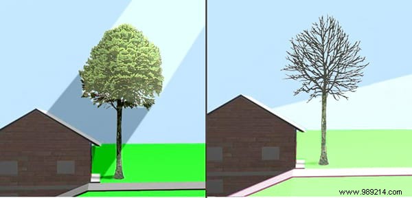 12 Proven Tips to Cool Your Home Without Air Conditioning