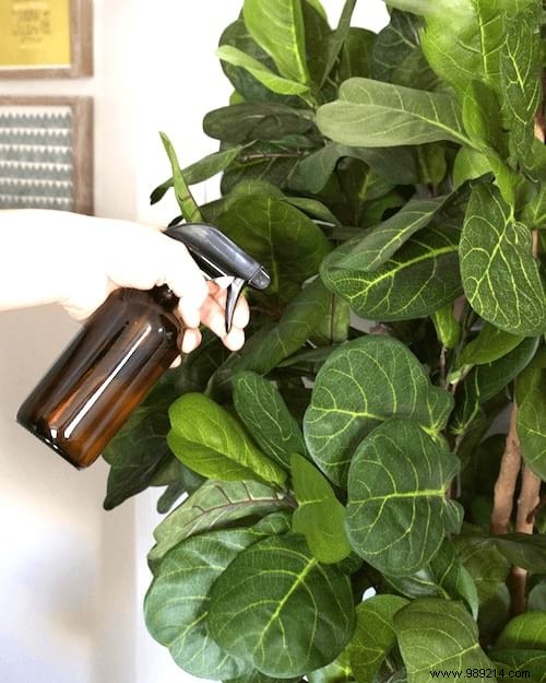 40 Proven Hydrogen Peroxide Uses for Cleaning, Health, and Home Maintenance