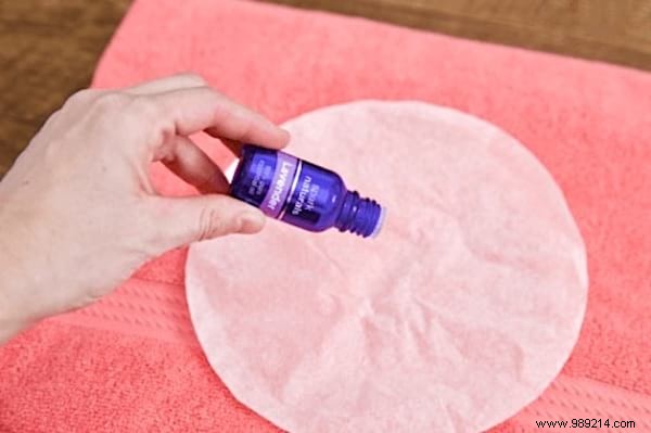 11 Genius Coffee Filter Hacks for Home, Kitchen, and Cleaning – Tried and True Tips