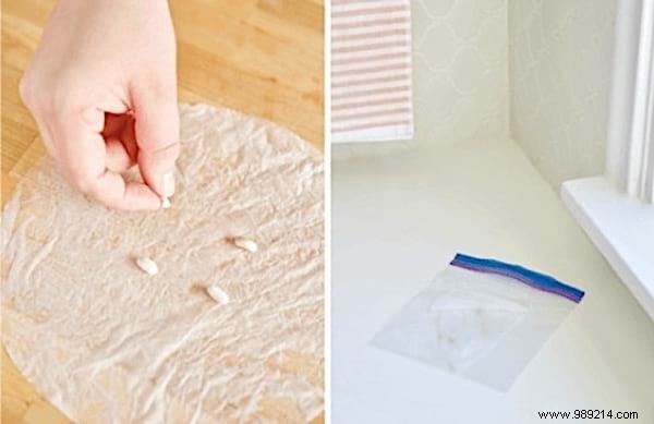 11 Genius Coffee Filter Hacks for Home, Kitchen, and Cleaning – Tried and True Tips