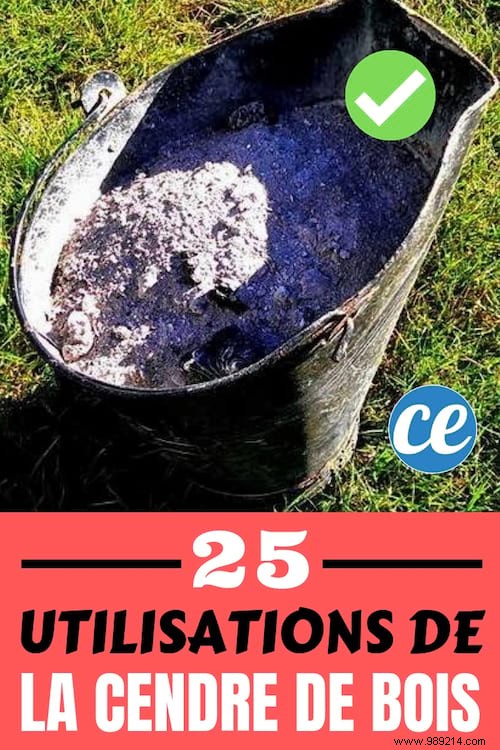 25 Proven Uses for Wood Ash: Transform Your Fireplace Waste into Garden Gold and Home Hero