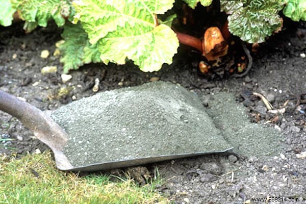 25 Proven Uses for Wood Ash: Transform Your Fireplace Waste into Garden Gold and Home Hero
