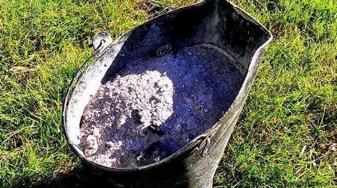 25 Proven Uses for Wood Ash: Transform Your Fireplace Waste into Garden Gold and Home Hero