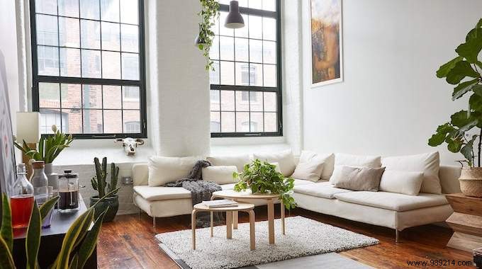 40 Overlooked Home Cleaning Tasks: Expert Schedule for a Spotless House