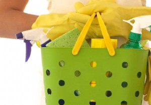 7 Expert Steps to Clean Your Entire Home Efficiently: Pro Cleaners  Secrets