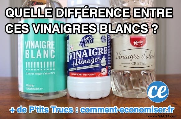 White Vinegar, Spirit Vinegar, and Household Vinegar: What s the Real Difference?