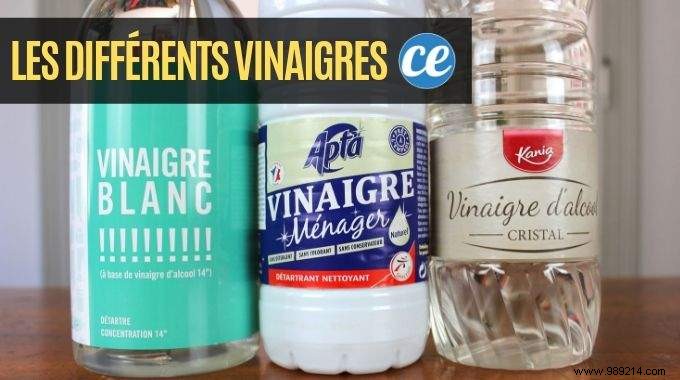 White Vinegar, Spirit Vinegar, and Household Vinegar: What s the Real Difference?