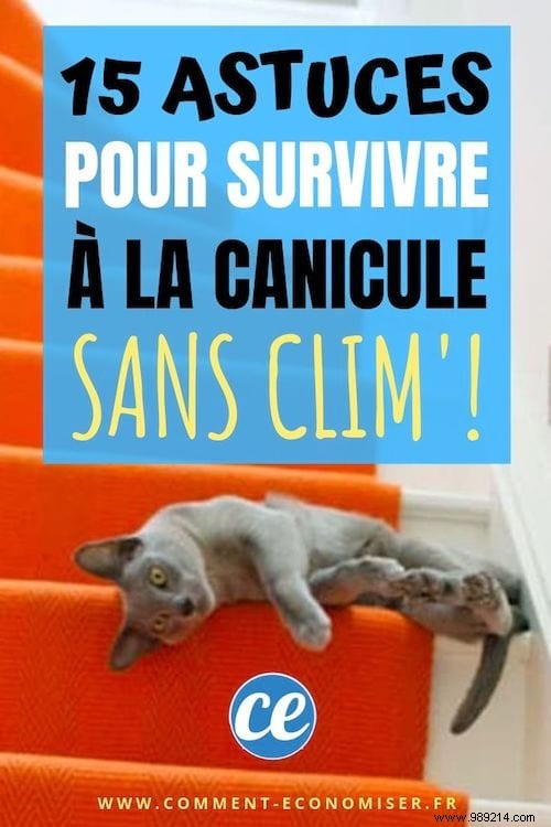 15 Proven Reader Tips to Survive Heat Waves Without Air Conditioning