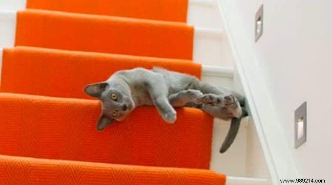 15 Proven Reader Tips to Survive Heat Waves Without Air Conditioning