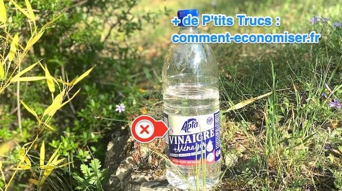 8 Things You Should Never Clean with White Vinegar – And Safe Alternatives