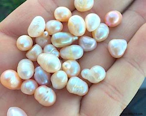 8 Things You Should Never Clean with White Vinegar – And Safe Alternatives