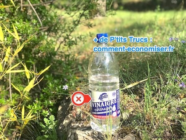 8 Things You Should Never Clean with White Vinegar – And Safe Alternatives